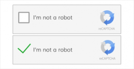 Robot CAPTCHA