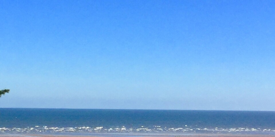 beach shorelarks